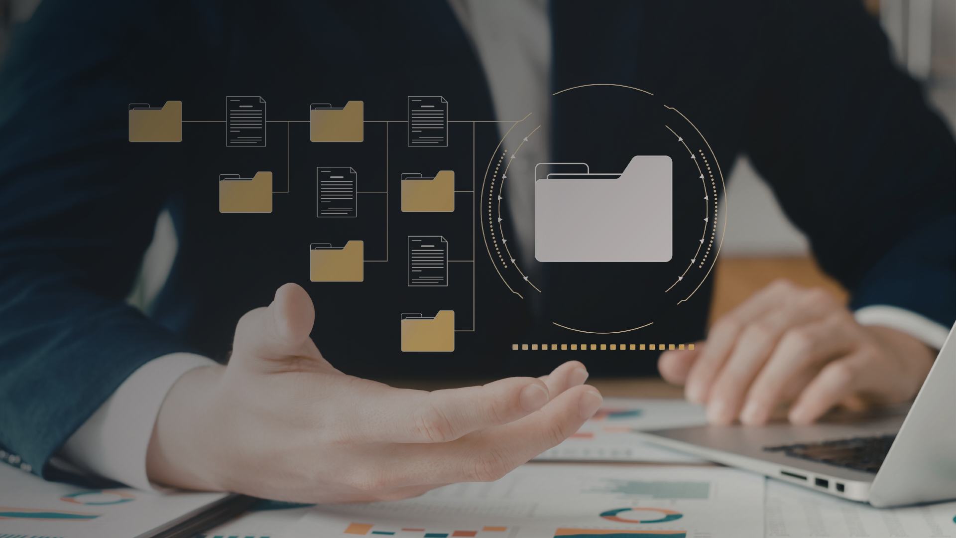File and Folder Structure